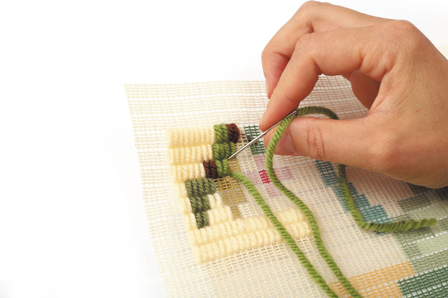 DIY Scarab Canvas Kit 🪲 – 30 × 40 cm